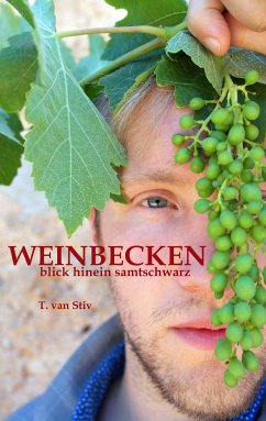 Weinbecken (eBook, ePUB) - Stiv, T. van