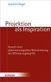 Projektion als Inspiration (eBook, PDF)