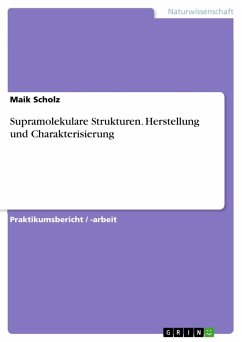 Supramolekulare Strukturen. Herstellung und Charakterisierung - Scholz, Maik