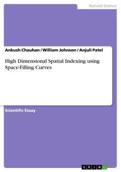 High Dimensional Spatial Indexing using Space-Filling Curves