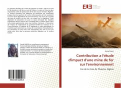 Contribution a l'étude d'impact d'une mine de fer sur l'environnement - Narsis, Souad