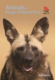 Animals of Kruger National Park (eBook, PDF)
