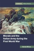 Morale and the Italian Army during the First World War (eBook, PDF)