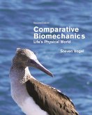 Comparative Biomechanics (eBook, PDF)