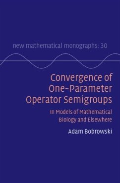 Convergence of One-Parameter Operator Semigroups (eBook, PDF) - Bobrowski, Adam