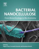 Bacterial Nanocellulose (eBook, ePUB)