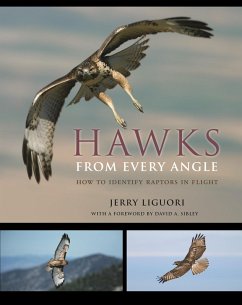 Cover Hawks from Every Angle (eBook, PDF)