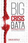 Big Crisis Data (eBook, PDF)