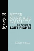 After Marriage Equality (eBook, PDF)