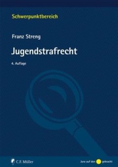 Jugendstrafrecht - Streng, Franz