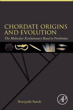 Chordate Origins and Evolution (eBook, ePUB) - Satoh, Noriyuki