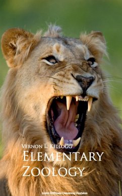 Elementary Zoology (eBook, ePUB) - Kellogg, Vernon L.