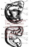 The Descent of Man and Selection in Relation to Sex II (eBook, ePUB)