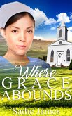 Where Grace Abounds (eBook, ePUB)