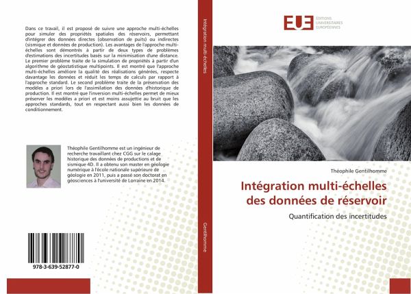 Intégration multi-échelles des données de réservoir Intégration multi-échelles des données de réservoir