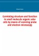 Correlating structure and function in... - Bild 1