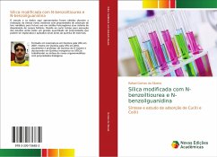 Sílica modificada com N-benzoiltiourea e N-benzoilguanidina - Gomes da Silveira, Rafael