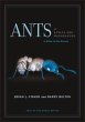 Ants of Africa and Madagascar (eBook,... - Bild 1