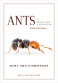 Ants of Africa and Madagascar (eBook, ePUB)