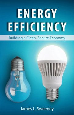 Cover Energy Efficiency (eBook, ePUB)