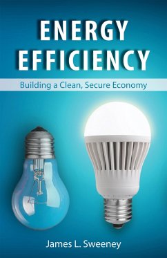 Cover Energy Efficiency (eBook, PDF)