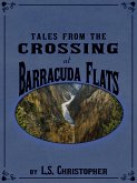 Tales from the Crossing at Barracuda Flats (eBook, ePUB)