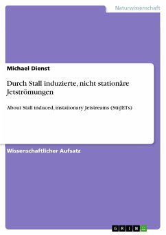 Durch Stall induzierte, nicht stationäre Jetströmungen (eBook, PDF) - Dienst, Michael