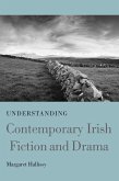 Understanding Contemporary Irish Fiction and Drama (eBook, ePUB) Understanding Contemporary Irish Fiction and Drama (eBook, ePUB)