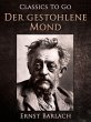 Der gestohlene Mond (eBook, ePUB) - Bild 1