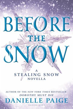 Before the Snow (eBook, ePUB) - Paige, Danielle