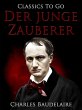 Der junge Zauberer (eBook, ePUB) - Bild 1