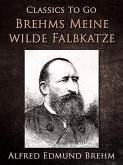 Brehms Meine wilde Falbkatze (eBook, ePUB)