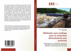 Méthodes sans maillage pour la résolution d'écoulements peu profonds - Halassi, Abdoul-hafar;Taik, Ahmed