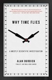 Why Time Flies (eBook, ePUB)