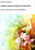 Liebe kennt keine Grenzen (eBook, ePUB)