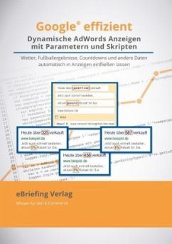 Dynamische AdWords-Anzeigen mit Parametern und Skripten - Hörner, Thomas