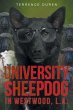 University Sheepdog in Westwood, L.A. - Bild 1
