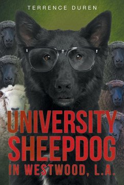 University Sheepdog in Westwood, L.A. - Duren, Terrence