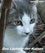 Das Lächeln der Katzen (eBook, ePUB) - Bild 1
