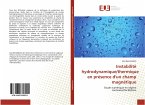 Instabilité hydrodynamique/thermique en présence d'un champ magnétique