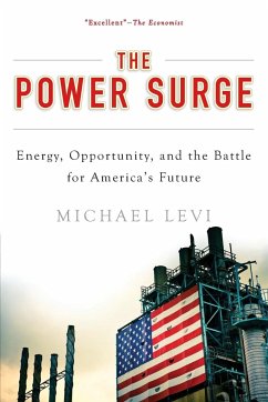 The Power Surge - Levi, Michael