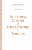 State Holding Companies and Public Enterprises in Transition (eBook, PDF)