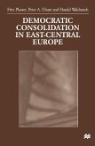 Democratic Consolidation in East-Central Europe (eBook, PDF)