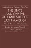 The State and Capital Accumulation in Latin America (eBook, PDF)