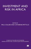 Investment and Risk in Africa (eBook, PDF)