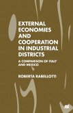 External Economies and Cooperation in Industrial Districts (eBook, PDF)