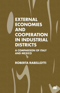 Cover External Economies and Cooperation in Industrial Districts (eBook, PDF)