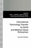 International Technology Transfer by Small and Medium-Sized Enterprises (eBook, PDF)