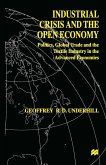 Industrial Crisis and the Open Economy (eBook, PDF)