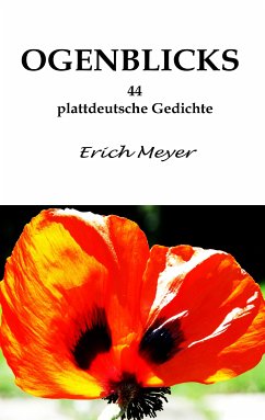 Ogenblicks (eBook, ePUB) - Meyer, Erich